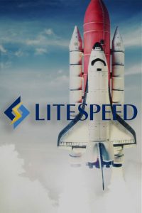 لایسنس LiteSpeed