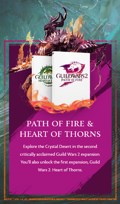 سی دی کی بازی Guild Wars 2 Path Of Fire & Heart Of Thorns