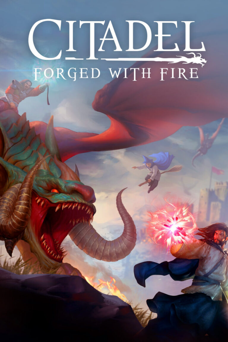       سی دی کی بازی Citadel Forged with Fire